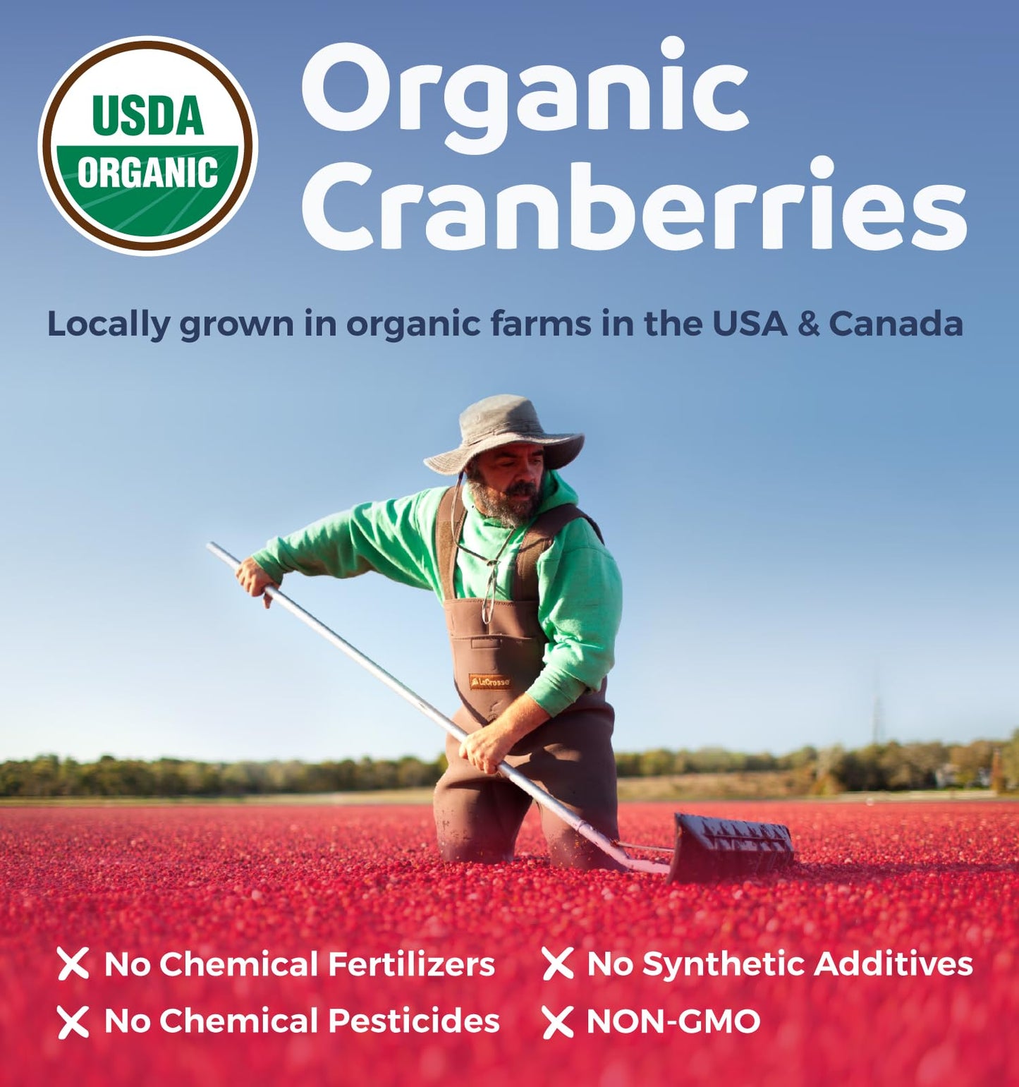 Organic Cranberry Pills - 50:1 Concentrate Equals 25,000mg of Fresh Cranberries (Vegan) for Urinary Tract Health & Kidney Cleanse - Cranberry Pills for Women - UTI Support Supplement - 60 Capsules