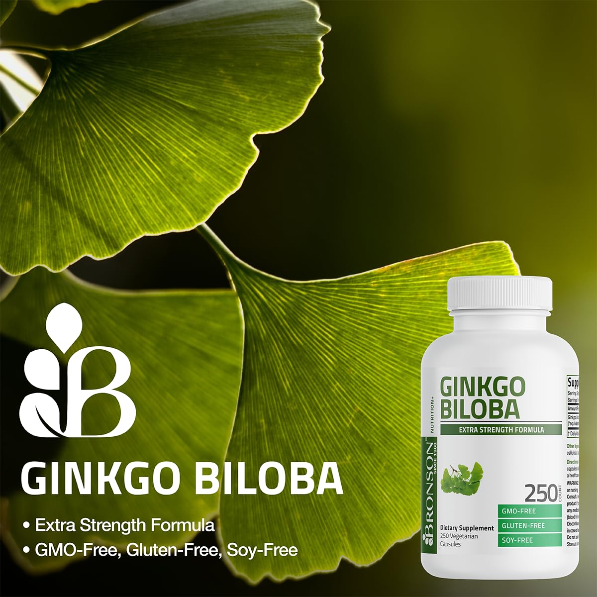 Bronson Ginkgo Biloba Extra Strength Supports Brain Function & Memory Support, 120 Vegetarian Capsules