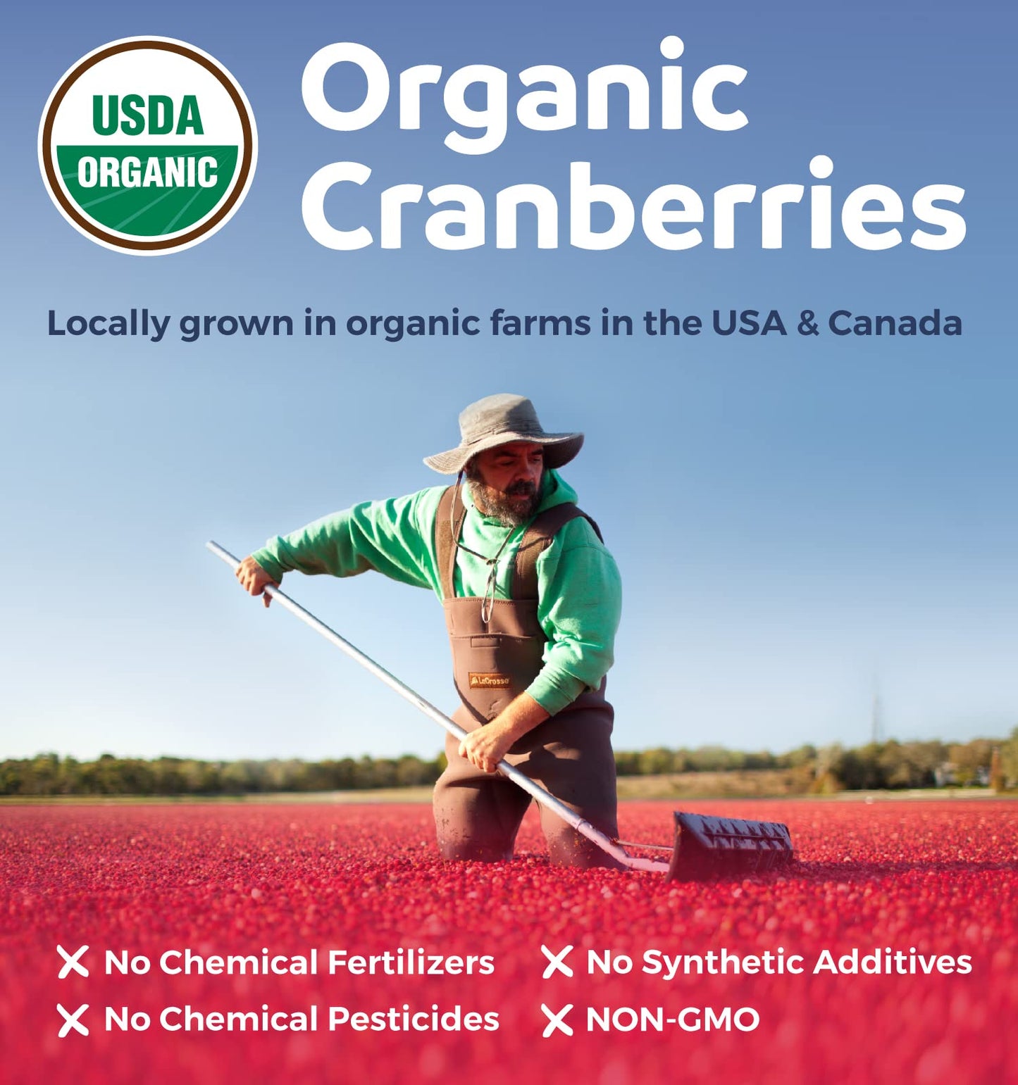 Organic Cranberry Pills - 50:1 Concentrate Equals 25,000mg of Fresh Cranberries (Vegan) for Urinary Tract Health & Kidney Cleanse - Cranberry Pills for Women - UTI Support Supplement - 60 Capsules