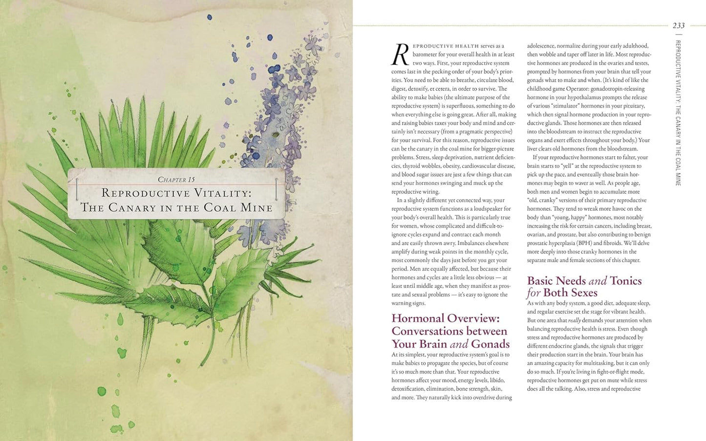 Body into Balance: An Herbal Guide to Holistic Self-Care