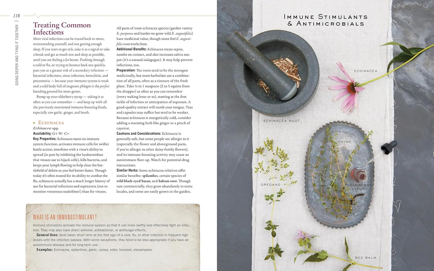 Body into Balance: An Herbal Guide to Holistic Self-Care